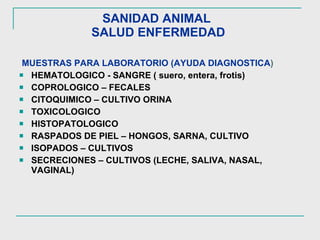 SANIDAD ANIMAL  SALUD ENFERMEDAD  MUESTRAS PARA LABORATORIO (AYUDA DIAGNOSTICA ) HEMATOLOGICO - SANGRE ( suero, entera, frotis) COPROLOGICO – FECALES CITOQUIMICO – CULTIVO ORINA TOXICOLOGICO HISTOPATOLOGICO RASPADOS DE PIEL – HONGOS, SARNA, CULTIVO ISOPADOS – CULTIVOS SECRECIONES – CULTIVOS (LECHE, SALIVA, NASAL, VAGINAL) 