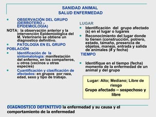 SANIDAD ANIMAL   SALUD ENFERMEDAD   OBSERVACIÓN DEL GRUPO (DERROTERO – EPIDEMIOLOGÍA) NOTA:  la observación anterior y la intervención Epidemiológica del M. Veterinario se obtiene un diagnostico definitivo. PATOLOGÍA EN EL GRUPO  POBLACIÓN   Identificación de  la sintomatología:   manifestación del enfermo, en los compañeros, u otros (vecinos u otras especies) Cuantificación y clasificación de afectados : en grupos  por raza, edad, sexo y tipo de trabajo. LUGAR Identificación  del  grupo afectado (s) en el lugar o lugares  Reconocimiento del lugar donde lo tienen   (construcción, potrero, estado, tamaño, presencia de objetos, manejo, entrada y salida de animales (# y fecha) TIEMPO Identifique en el tiempo (fecha) momento de la enfermedad de un animal y del grupo Lugar: Alto; Mediano; Libre de  riesgo Grupo afectado – sospechoso y  libre DIAGNOSTICO DEFINITIVO   la enfermedad y su causa y el comportamiento de la enfermedad 
