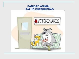 SANIDAD ANIMAL   SALUD ENFERMEDAD 