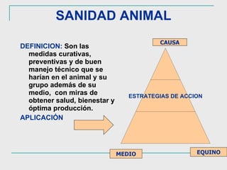 SANIDAD ANIMAL DEFINICION:   Son las medidas curativas, preventivas y de buen manejo técnico que se harían en el animal y su grupo además de su medio,  con miras de obtener salud, bienestar y óptima producción.  APLICACIÓN CAUSA MEDIO EQUINO ESTRATEGIAS DE ACCION 