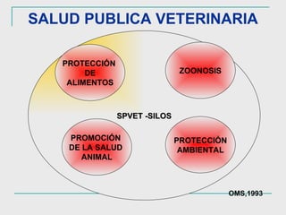 SALUD PUBLICA VETERINARIA SPVET -SILOS PROTECCIÓN  DE ALIMENTOS ZOONOSIS PROTECCIÓN AMBIENTAL PROMOCIÓN  DE LA SALUD  ANIMAL OMS,1993 