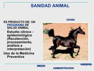 SANIDAD ANIMAL ES PRODUCTO DE:   UN   PROGRAMA  DE SALUD ANIMAL Estudio   clínico -  epidemiológico (Recolección, procesamiento, análisis e interpretación) Uso de la Medicina Preventiva  MEDIO   HUESPED CAUSA ADMINISTRACION   