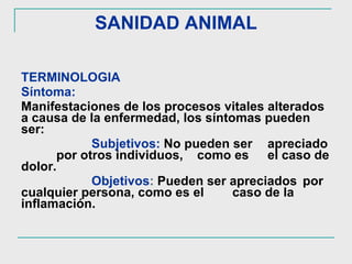SANIDAD ANIMAL TERMINOLOGIA   Síntoma: Manifestaciones de los procesos vitales alterados a causa de la enfermedad, los síntomas pueden ser: Subjetivos:   No pueden ser  apreciado  por otros individuos,  como es  el caso de dolor.  Objetivos :   Pueden ser apreciados  por cualquier persona, como es el  caso de la inflamación.  