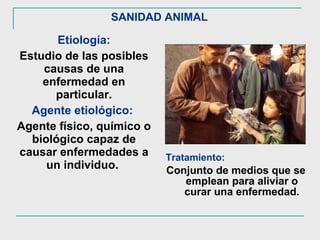 SANIDAD ANIMAL   Etiología: Estudio de las posibles causas de una enfermedad en particular. Agente etiológico:   Agente físico, químico o biológico capaz de causar enfermedades a un individuo.  Tratamiento: Conjunto de medios que se emplean para aliviar o curar una enfermedad. 