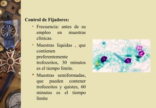 Control de Fijadores:
• Frecuencia: antes de su
empleo en muestras
clínicas.
• Muestras liquidas , que
contienen
preferentemente
trofozoitos, 30 minutos
es el tiempo límite.
 Muestras semiformadas,
que pueden contener
trofozoitos y quistes, 60
minutos es el tiempo
límite
 