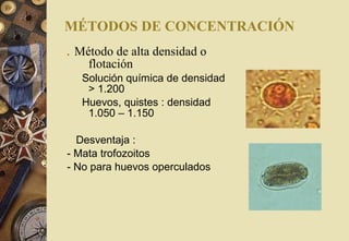 . Método de alta densidad o
flotación
Solución química de densidad
> 1.200
Huevos, quistes : densidad
1.050 – 1.150
Desventaja :
- Mata trofozoitos
- No para huevos operculados
MÉTODOS DE CONCENTRACIÓN
 