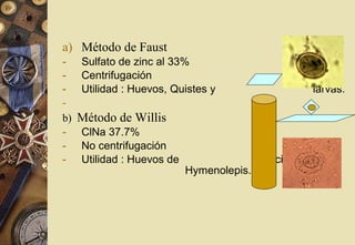 a) Método de Faust
- Sulfato de zinc al 33%
- Centrifugación
- Utilidad : Huevos, Quistes y larvas.
-
b) Método de Willis
- ClNa 37.7%
- No centrifugación
- Utilidad : Huevos de Uncionaria y
Hymenolepis.
 