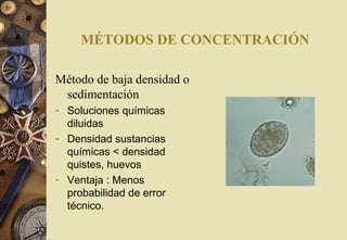MÉTODOS DE CONCENTRACIÓN
Método de baja densidad o
sedimentación
- Soluciones químicas
diluidas
- Densidad sustancias
químicas < densidad
quistes, huevos
- Ventaja : Menos
probabilidad de error
técnico.
 