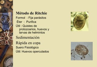 Método de Ritchie
Formol : Fija parásitos
Éter : Purifica
Útil : Quistes de
protozoarios, huevos y
larvas de helmintos
Sedimentación
Rápida en copa
Suero Fisiológico
Útil: Huevos operculados
 