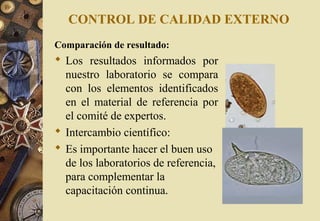 CONTROL DE CALIDAD EXTERNO
Comparación de resultado:
 Los resultados informados por
nuestro laboratorio se compara
con los elementos identificados
en el material de referencia por
el comité de expertos.
 Intercambio científico:
 Es importante hacer el buen uso
de los laboratorios de referencia,
para complementar la
capacitación continua.
 