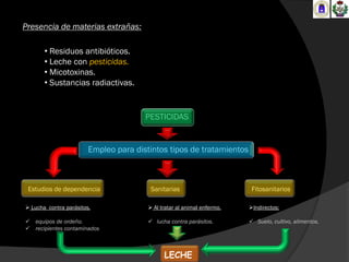 Presencia de materias extrañas:

       • Residuos antibióticos.
       • Leche con pesticidas.
       • Micotoxinas.
       • Sustancias radiactivas.


                                       PESTICIDAS


                        Empleo para distintos tipos de tratamientos



 Estudios de dependencia                 Sanitarias                       Fitosanitarios

 Lucha contra parásitos.                Al tratar al animal enfermo.   Indirectos:

 equipos de ordeño.                     lucha contra parásitos.         Suelo, cultivo, alimentos.
 recipientes contaminados



                                              LECHE
 