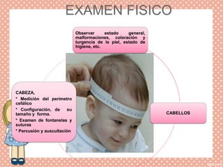 EXAMEN FISICO
Observar estado general,
malformaciones, coloración y
turgencia de la piel, estado de
higiene, etc.
CABELLOS
CABEZA,
* Medición del perímetro
cefálico
* Configuración, de su
tamaño y forma.
* Examen de fontanelas y
suturas
* Percusión y auscultación
 