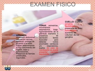 EXAMEN FISICO
ABDOMEN:
distensión abdominal,
circulación venosa
colateral, ombligo de
acuerdo a la edad.
Palpar determinando
si hay crecimiento del
hígado, bazo y
tumoraciones.
Presencia de hernias
umbilicales,
inguinales.
TÓRAX; asimetrías,
movimientos
respiratorios, tiraje.
Agrandamiento de la
glándula mamaria o
presencia de
secreción láctea
Auscultar para
detectar ruidos
anormales cardiacos
y/o respiratorios,
soplos. En caso de
Cardiopatía se puede
presentar cianosis,
taquicardia.
CUELLO: Explorar
simetría,
flexibilidad,
presencia de dolor,
tumoraciones,
aumento de
volumen de los
ganglios
 