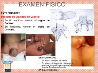 EXAMEN FISICO
EXTREMIDADES:
Descarte de Displasia de Cadera:
• Recién nacidos, valorar el signo de
Barlow.
• En lactantes, valorar el signo de
Ortolani.
GENITOURINARIO
 En niñas, sinequia de labios
 En niños, criptorquidia, hidrocele y
observar prepucio para descartar
fimosis. En el pene fimosis
ANO: permeabilidad.
 