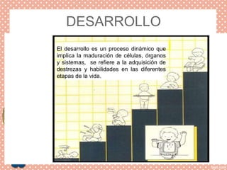 DESARROLLO
El desarrollo es un proceso dinámico que
implica la maduración de células, órganos
y sistemas, se refiere a la adquisición de
destrezas y habilidades en las diferentes
etapas de la vida.
 