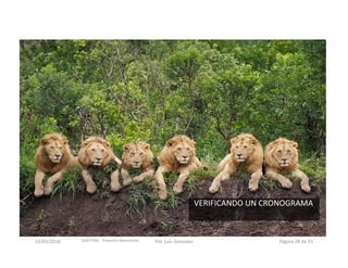 Gold Fields ‐ Proyectos Operaciones 
VERIFICANDO UN CRONOGRAMA
13/03/2018 Por. Luis Gonzalez Página 28 de 91
 