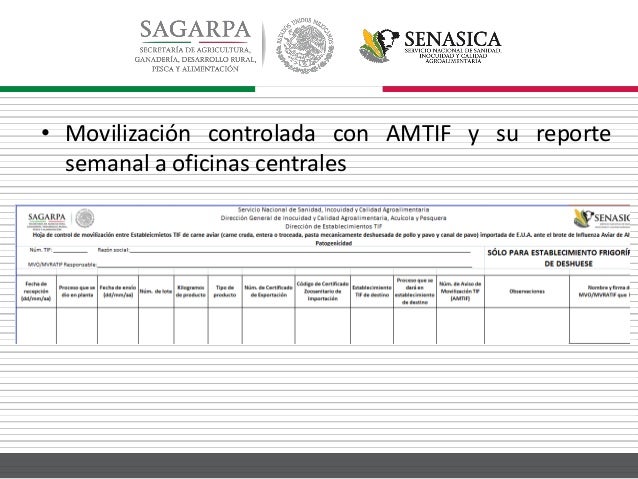 Control de embarques de materia prima cárnica aviar 