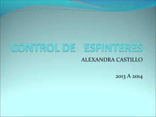 ALEXANDRA CASTILLO
2013 A 2014
 