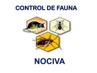 CONTROL DE FAUNA
NOCIVA
 
