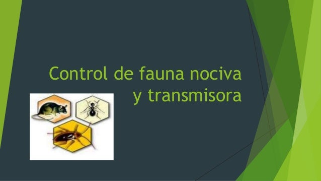 FAUNA NOCIVA Y TRANSMISORA PDF DOWNLOAD FAUNA NOCIVA Y TRANSMISORA PDF DOWNLOAD