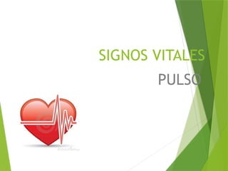 SIGNOS VITALES
PULSO
 
