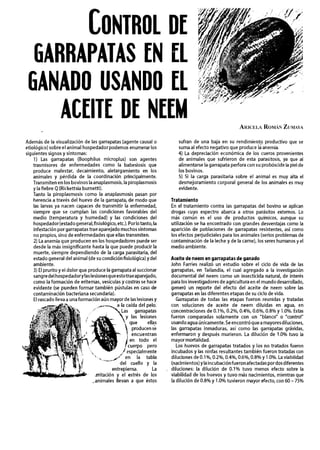 LONTROL DE
  GARRAPATAS EN EL
 GANADO USANDO €1                                                                            ;J'J~       "
                                                                                                     J F ~


    ACEITE DE N€EM
                                                                                         '
                                                                                    PP                  d




Además de la visualización de las garrapatas (agente causal o            sufran de una baja en su rendimiento productivo que se
etiológico) sobre el animal hospedador podemos enumerar los              suma al efecto negativo que produce laanemia.
siguientes signos y síntomas:                                            4) La depreciación económica de los cueros provenientes
    1) Las garrapatas (Boophilus microplus) son agentes                  de animales que sufrieron de esta parasitosis, ya que al
    trasmisores de enfermedades como la babesiosis que                   alimentarse la garrapata perfora con su probóscide la piel de
    produce malestar, decaimiento, aletargamiento en los                 los bovinos.
    animales y pérdida de la coordinación principalmente.                5) Si la carga parasitaria sobre el animal es muy alta el
    Transmiten en los bovinos la anaplasmosis, la piroplasmosis          desmejoramiento corporal general de los animales es muy
    y la fiebre Q (Rickettsia burnetti).                                 evidente.
    Tanto la piroplasmosis como la anaplasmosis pasan por
    herencia a través del huevo de la garrapata, de modo que          Tratamiento
    las larvas ya nacen capaces de transmitir la enfermedad,          En el tratamiento contra las garrapatas del bovino s aplican
                                                                                                                              e
    siempre que se cumplan las condiciones favorables del             drogas cuyo espectro abarca a otros parásitos externos. Lo
    medio (temperatura y humedad) y las condiciones del               más común es el uso de productos quimicos, aunque su
    hospedador (estado generaI,fisiológico, etc.). Por lo tanto, la   utilización se ha encontrado con grandes desventajas como la
    infestación por garrapatas trae aparejado muchos síntomas         aparición de poblaciones de garrapatas resistentes, así como
    no propios, sino de enfermedades que ellas transmiten.            los efectos perjudiciales para los animales (serios problemas de
    2) La anemia que producen en los hospedadores puede ser           contaminación de la leche y de la carne), los seres humanos y el
    desde la más insignificante hasta la que puede producir la        medio ambiente.
    muerte, siempre dependiendo de la carga parasitaria, del
    estado general del a'nimal (de su condición fisiológica) y del    Aceite de neem en garrapatas de ganado
    ambiente.                                                         John Farries realizó un estudio sobre el ciclo de vida de las
    3) El prurito y el dolor que produce la garrapata al succionar    garrapatas, en Tailandia, el cual agregado a la investigación
    sangredel hospedadorylas lesionesqueestotraeaparejado,            documental del neem como un insecticida natural, de interés
    como la formación de eritemas, vesículas y costras se hace        para los investigadoresde agricultura en el mundo desarrollado,
    evidente (se pueden formar también pústulas en caso de            generó un reporte del efecto del aceite de neem sobre las
    contaminación bacteriana secundaria).                             garrapatas en las diferentes etapas de su ciclo de vida.
    El rascado lleva a una formación aun mayor de las lesiones y         Garrapatas de todas las etapas fueron reunidas y tratadas
                                                                      con soluciones de aceite de neem diluidas en agua, en
                                                                      concentraciones de 0.1%, 0.2%, 0.4%, 0.6%, 0.8% y 1.0%. Estas
                                                                      fueron comparadas solamente con un "blanco" o "control"
                                                                      usandoagua únicamente.Se encontróquea mayoresdiluciones,
                                                                      las garrapatas inmaduras, así como las garrapatas grávidas,
                                                     encuentran       enfermaron y después murieron. La dilución de 1.0% tuvo la
                                                                      mayor mortalidad.
                                                                         Los huevos de garrapatas tratados y los no tratados fueron
                                                                      incubados y las ninfas resultantes también fueron tratadas con
                                                                      diluciones de 0.1 %, 0.2%, 0.4%, 0.6%, 0.8% y 1.O%. La viabilidad
                                                                      (nacimientos) y la incubaciónfueronafectadas por dosdiferentes
                                                                      diluciones: la dilución de 0.1% tuvo menos efecto sobre la
                                   ,rritación y el estrés de los      viabilidad de los huevos y tuvo más nacimientos, mientras que
                                  .animales llevan a que éstos        la dilución de 0.8% y 1.O% tuvieron mayor efecto, con 60 - 75%
 