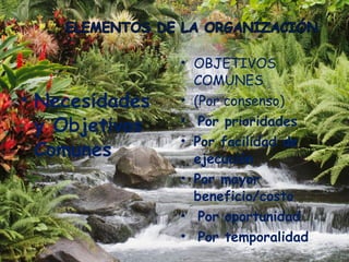 Necesidades y Objetivos Comunes OBJETIVOS COMUNES (Por consenso) Por prioridades Por facilidad de ejecución Por mayor beneficio/costo Por oportunidad Por temporalidad 