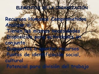 Recursos Humanos Comprometidos Analizar si: Tienen las mismas necesidades Disposición para actividades en conjunto Dispuestos a aportar recursos Puntos de identificación social, cultural Potencial para división del trabajo 