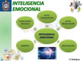INTELIGENCIA
EMOCIONAL
Procesos
X. Rodríguez
INTELIGENCIA
EMOCIONAL
AUTO-
CONSCIENCIA
AUTO-
REGULACIÓN
MOTIVACIÓNEMPATÍA
HABILIDADES
SOCIALES
 
