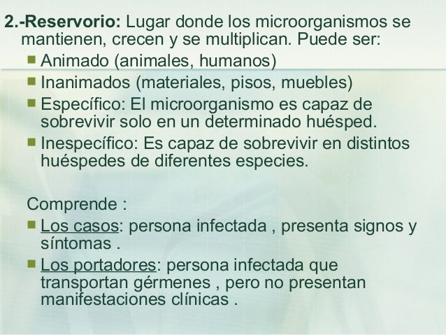 El parásito mí te ha comprendido