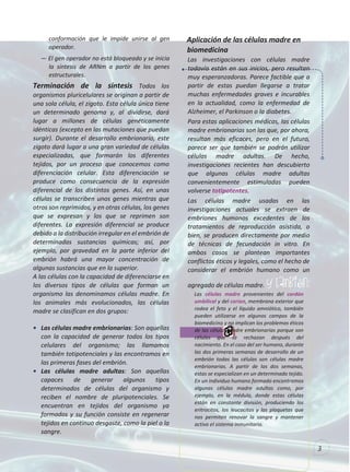 3
conformación que le impide unirse al gen
operador.
— El gen operador no está bloqueado y se inicia
la síntesis de ARNm a partir de los genes
estructurales.
Terminación de la síntesis Todos los
organismos pluricelulares se originan a partir de
una sola célula, el zigoto. Esta célula única tiene
un determinado genoma y, al dividirse, dará
lugar a millones de células genéticamente
idénticas (excepto en las mutaciones que puedan
surgir). Durante el desarrollo embrionario, este
zigoto dará lugar a una gran variedad de células
especializadas, que formarán los diferentes
tejidos, por un proceso que conocemos como
diferenciación celular. Esta diferenciación se
produce como consecuencia de la expresión
diferencial de los distintos genes. Así, en unas
células se transcriben unos genes mientras que
otros son reprimidos, y en otras células, los genes
que se expresan y los que se reprimen son
diferentes. La expresión diferencial se produce
debido a la distribución irregular en el embrión de
determinadas sustancias químicas; así, por
ejemplo, por gravedad en la parte inferior del
embrión habrá una mayor concentración de
algunas sustancias que en la superior.
A las células con la capacidad de diferenciarse en
los diversos tipos de células que forman un
organismo las denominamos células madre. En
los animales más evolucionados, las células
madre se clasifican en dos grupos:
• Las células madre embrionarias: Son aquellas
con la capacidad de generar todos los tipos
celulares del organismo; las llamamos
también totipotenciales y las encontramos en
las primeras fases del embrión.
• Las células madre adultas: Son aquellas
capaces de generar algunos tipos
determinados de células del organismo y
reciben el nombre de pluripotenciales. Se
encuentran en tejidos del organismo ya
formados y su función consiste en regenerar
tejidos en continuo desgaste, como la piel o la
sangre.
Aplicación de las células madre en
biomedicina
Las investigaciones con células madre
todavía están en sus inicios, pero resultan
muy esperanzadoras. Parece factible que a
partir de estas puedan llegarse a tratar
muchas enfermedades graves e incurables
en la actualidad, como la enfermedad de
Alzheimer, el Parkinson o la diabetes.
Para estas aplicaciones médicas, las células
madre embrionarias son las que, por ahora,
resultan más eficaces, pero en el futuro,
parece ser que también se podrán utilizar
células madre adultas. De hecho,
investigaciones recientes han descubierto
que algunas células madre adultas
convenientemente estimuladas pueden
volverse totipotentes.
Las células madre usadas en las
investigaciones actuales se extraen de
embriones humanos excedentes de los
tratamientos de reproducción asistida, o
bien, se producen directamente por medio
de técnicas de fecundación in vitro. En
ambos casos se plantean importantes
conflictos éticos y legales, como el hecho de
considerar el embrión humano como un
agregado de células madre. y también:
Las células madre provenientes del cordón
umbilical y del corion, membrana exterior que
rodea el feto y el líquido amniótico, también
pueden utilizarse en algunos campos de la
biomedicina y no implican los problemas éticos
de las células madre embrionarias porque son
células que se rechazan después del
nacimiento. En el caso del ser humano, durante
las dos primeras semanas de desarrollo de un
embrión todas las células son células madre
embrionarias. A partir de las dos semanas,
estas se especializan en un determinado tejido.
En un individuo humano formado encontramos
algunas células madre adultas como, por
ejemplo, en la médula, donde estas células
están en constante división, produciendo los
eritrocitos, los leucocitos y las plaquetas que
nos permiten renovar la sangre y mantener
activo el sistema inmunitario.
 