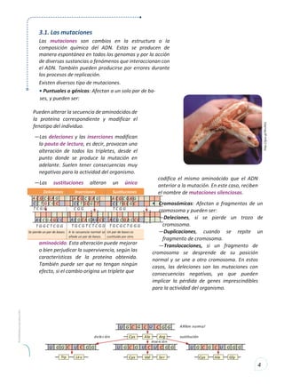4
ses, y pueden ser:
Pueden alterar la secuencia de aminoácidos de
la proteína correspondiente y modificar el
fenotipo del individuo.
—Las deleciones y las inserciones modifican
la pauta de lectura, es decir, provocan una
alteración de todos los tripletes, desde el
punto donde se produce la mutación en
adelante. Suelen tener consecuencias muy
negativas para la actividad del organismo.
—Las sustituciones alteran un único
aminoácido. Esta alteración puede mejorar
o bien perjudicar la supervivencia, según las
características de la proteína obtenida.
También puede ser que no tengan ningún
efecto, si el cambio origina un triplete que
codifica el mismo aminoácido que el ADN
anterior a la mutación. En este caso, reciben
el nombre de mutaciones silenciosas.
• Cromosómicas: Afectan a fragmentos de un
cromosoma y pueden ser:
—Deleciones, si se pierde un trozo de
cromosoma.
—Duplicaciones, cuando se repite un
fragmento de cromosoma.
—Translocaciones, si un fragmento de
cromosoma se desprende de su posición
normal y se une a otro cromosoma. En estos
casos, las deleciones son las mutaciones con
consecuencias negativas, ya que pueden
implicar la pérdida de genes imprescindibles
para la actividad del organismo.
3.1. Las mutaciones
Las mutaciones son cambios en la estructura o la
composición química del ADN. Estas se producen de
manera espontánea en todos los genomas y por la acción
de diversas sustancias o fenómenos que interaccionan con
el ADN. También pueden producirse por errores durante
los procesos de replicación.
Existen diversos tipo de mutaciones.
• Puntuales o génicas: Afectan a un solo par de ba-
Deleciones Inserciones Sustituciones
A C G C G A G
C C T G C G C
T C G G
A C C G A G C C
T G G C T C G G
A C G C G A G
C C T G C G C T
C G G
A C G C A G A G C C
T G C G T C T C G G
A C G C G A G
C C T G C G C
T C G G
A C G C G A C C C
T G C G C T G G G
Se pierde un par de bases. A la secuencia normal se
añade un par de bases.
Un par de bases es
sustituido por otro.
 