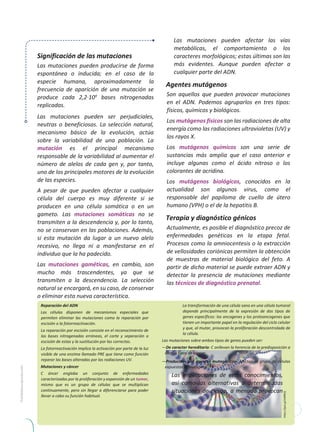 6
Significación de las mutaciones
Las mutaciones pueden producirse de forma
espontánea o inducida; en el caso de la
especie humana, aproximadamente la
frecuencia de aparición de una mutación se
produce cada 2,2·109
bases nitrogenadas
replicadas.
Las mutaciones pueden ser perjudiciales,
neutras o beneficiosas. La selección natural,
mecanismo básico de la evolución, actúa
sobre la variabilidad de una población. La
mutación es el principal mecanismo
responsable de la variabilidad al aumentar el
número de alelos de cada gen y, por tanto,
uno de los principales motores de la evolución
de las especies.
A pesar de que pueden afectar a cualquier
célula del cuerpo es muy diferente si se
producen en una célula somática o en un
gameto. Las mutaciones somáticas no se
transmiten a la descendencia y, por lo tanto,
no se conservan en las poblaciones. Además,
si esta mutación da lugar a un nuevo alelo
recesivo, no llega ni a manifestarse en el
individuo que la ha padecido.
Las mutaciones gaméticas, en cambio, son
mucho más trascendentes, ya que se
transmiten a la descendencia. La selección
natural se encargará, en su caso, de conservar
o eliminar esta nueva característica.
Las mutaciones pueden afectar las vías
metabólicas, el comportamiento o los
caracteres morfológicos; estas últimas son las
más evidentes. Aunque pueden afectar a
cualquier parte del ADN.
Agentes mutágenos
Son aquellos que pueden provocar mutaciones
en el ADN. Podemos agruparlos en tres tipos:
físicos, químicos y biológicos.
Los mutágenos físicos son las radiaciones de alta
energía como las radiaciones ultravioletas (UV) y
los rayos X.
Los mutágenos químicos son una serie de
sustancias más amplia que el caso anterior e
incluye algunas como el ácido nitroso o los
colorantes de acridina.
Los mutágenos biológicos, conocidos en la
actualidad son algunos virus, como el
responsable del papiloma de cuello de útero
humano (VPH) o el de la hepatitis B.
Terapia y diagnóstico génicos
Actualmente, es posible el diagnóstico precoz de
enfermedades genéticas en la etapa fetal.
Procesos como la amniocentesis o la extracción
de vellosidades coriónicas permiten la obtención
de muestras de material biológico del feto. A
partir de dicho material se puede extraer ADN y
detectar la presencia de mutaciones mediante
las técnicas de diagnóstico prenatal.
Reparación del ADN
Las células disponen de mecanismos especiales que
permiten eliminar las mutaciones como la reparación por
escisión o la fotorreactivación.
La reparación por escisión consiste en el reconocimiento de
las bases nitrogenadas erróneas, el corte y separación o
escisión de estas y la sustitución por las correctas.
La fotorreactivación implica la activación por parte de la luz
visible de una enzima llamado PRE que tiene como función
reparar las bases alteradas por las radiaciones UV.
Mutaciones y cáncer
C áncer engloba un conjunto de enfermedades
caracterizadas por la proliferación y expansión de un tumor,
mismo que es un grupo de células que se multiplican
continuamente, pero sin llegar a diferenciarse para poder
llevar a cabo su función habitual.
La transformación de una célula sana en una célula tumoral
depende principalmente de la expresión de dos tipos de
genes específicos: los oncogenes y los protooncogenes que
tienen un importante papel en la regulación del ciclo celular
y que, al mutar, provocan la proliferación descontrolada de
la célula.
Las mutaciones sobre ambos tipos de genes pueden ser:
—De caracter hereditario: C onllevan la herencia de la predisposición a
ciertos tipos de cáncer.
—Producidas por agentes mutagénicos: Afectan al grupo de células
expuestas al mutágeno.
Las implicaciones de estos conocimientos,
así como las alternativas a determinadas
situaciones de riesgo, a menudo provocan
 