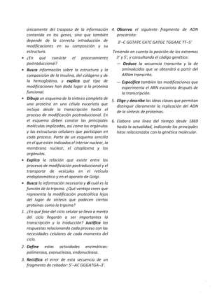 únicamente del traspaso de la información
contenida en los genes, sino que también
depende de la correcta introducción de
modificaciones en su composición y su
estructura.
• ¿En qué consiste el procesamiento
postraduccional?
• Busca información sobre la estructura y la
composición de la insulina, del colágeno y de
la hemoglobina, y explica qué tipo de
modificaciones han dado lugar a la proteína
funcional.
• Dibuja un esquema de la síntesis completa de
una proteína en una célula eucariota que
incluya desde la transcripción hasta el
proceso de modificación postraduccional. En
el esquema deben constar las principales
moléculas implicadas, así como los orgánulos
y las estructuras celulares que participan en
cada proceso. Parte de un esquema sencillo
en el que estén indicados el interior nuclear, la
membrana nuclear, el citoplasma y los
orgánulos.
• Explica la relación que existe entre los
procesos de modificación postraduccional y el
transporte de vesículas en el retículo
endoplasmático y en el aparato de Golgi.
• Busca la información necesaria y di cuál es la
función de la tripsina. ¿Qué ventaja crees que
representa la modificación proteolítica lejos
del lugar de síntesis que padecen ciertas
proteínas como la tripsina?
1. ¿En qué fase del ciclo celular se lleva a mento
del ciclo llegarán a ser importantes la
transcripción y la traducción? Justifica las
respuestas relacionando cada proceso con las
necesidades celulares de cada momento del
ciclo.
2. Define estas actividades enzimáticas:
polimerasa, exonucleasa, endonucleasa.
3. Rectifica el error de esta secuencia de un
fragmento de cebador: 5’–AC GGGATGA–3’.
4. Observa el siguiente fragmento de ADN
procariota:
3’–C GGTATC CATC GATGC TGGAAC TT–5’
Teniendo en cuenta la posición de los extremos
3’ y 5’, y consultando el código genético:
— Deduce la secuencia transcrita y la de
aminoácidos que se obtendrá a partir del
ARNm transcrito.
— Especifica también las modificaciones que
experimenta el ARN eucariota después de
la transcripción.
5. Elige y describe las ideas claves que permitan
distinguir claramente la replicación del ADN
de la síntesis de proteínas.
6. Elabora una línea del tiempo desde 1869
hasta la actualidad, indicando los principales
hitos relacionados con la genética molecular.
 