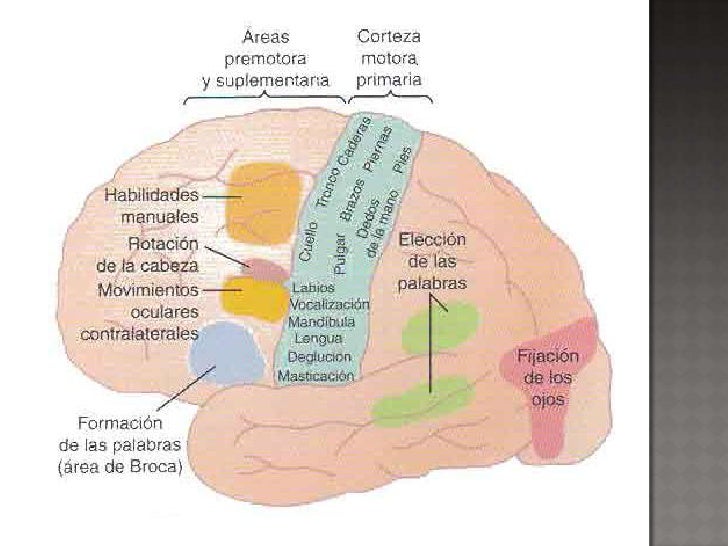 Imagen relacionada