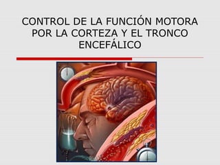 CONTROL DE LA FUNCIÓN MOTORA
POR LA CORTEZA Y EL TRONCO
ENCEFÁLICO
 