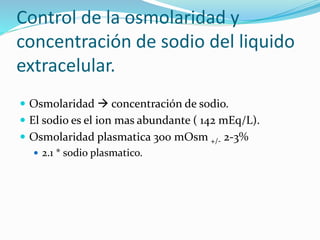 Control de la osmolaridad y
concentración de sodio del liquido
extracelular.
 Osmolaridad  concentración de sodio.
 El sodio es el ion mas abundante ( 142 mEq/L).
 Osmolaridad plasmatica 300 mOsm +/- 2-3%
 2.1 * sodio plasmatico.
 