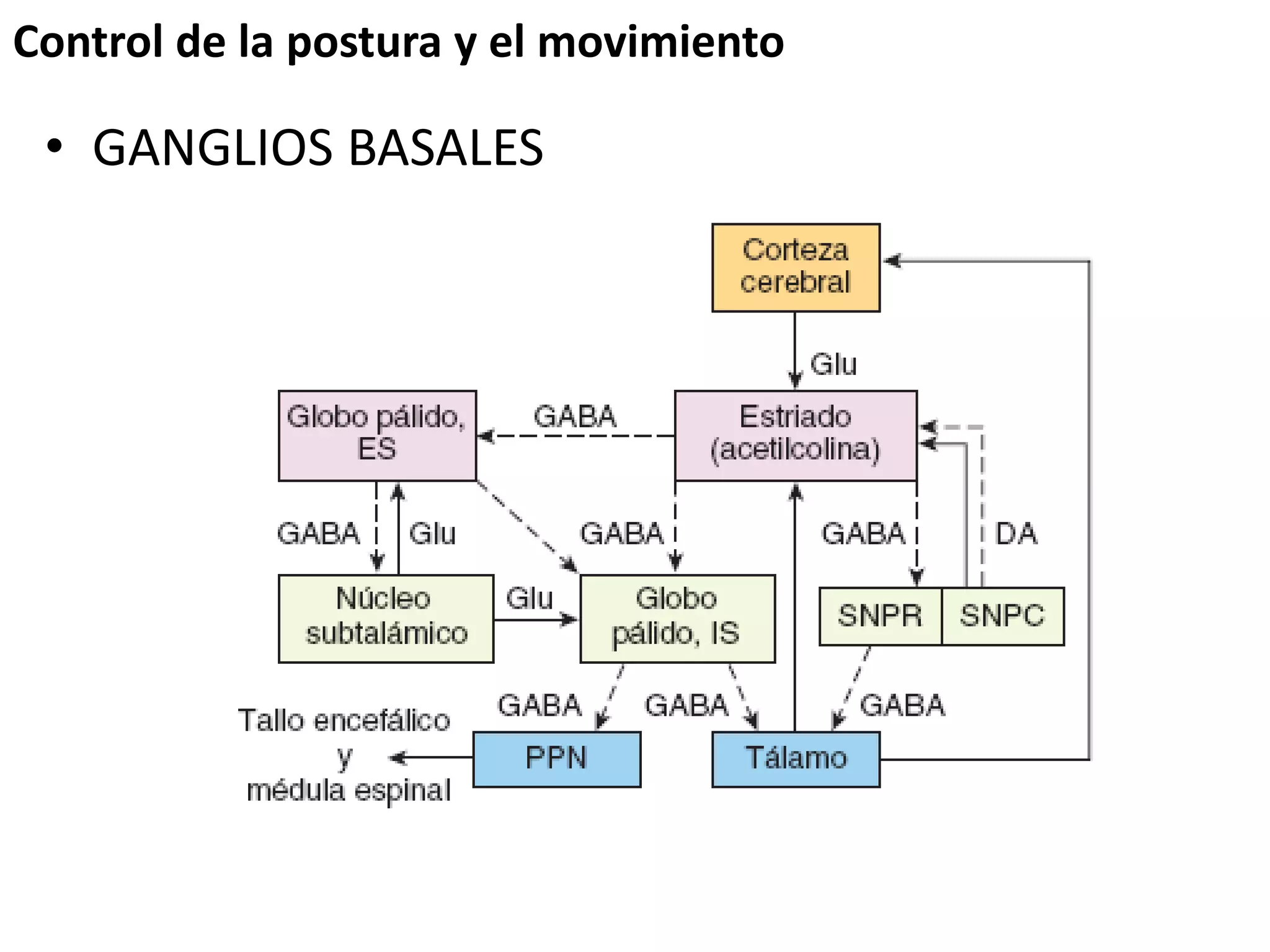 Control de la postura y el movimiento