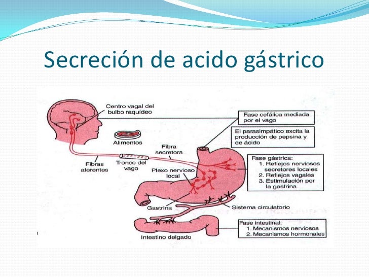 Dott.ssa - π₯ Core Stability: La Base Di Ogni Movimento! π₯ Il Core Non Γ¨ - Foto 5