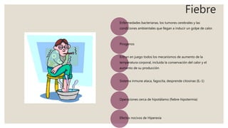 Fiebre
Enfermedades bacterianas, los tumores cerebrales y las
condiciones ambientales que llegan a inducir un golpe de calor.
Pirogenos
Entran en juego todos los mecanismos de aumento de la
temperatura corporal, incluida la conservación del calor y el
aumento de su producción
Sistema inmune ataca, fagocita, desprende citosinas (IL-1)
Operaciones cerca de hipotálamo (fiebre-hipotermia)
Efectos nocivos de Hiperexia
 