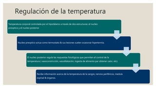 Regulación de la temperatura
Temperatura corporal controlada por el hipotálamo a través de dos estructuras: el nucleo
preoptico y el nucleo posterior
Nucleo preoptico actua como termostato & sus lesiones suelen ocasionar hipertermia.
El nucleo posterior regula las respuestas fisiológicas que permiten el control de la
temperatura ( vasoconstricción, vasodilatación, ingesta de alimento par obtener calor, etc).
Recibe información acerca de la temperatura de la sangre, nervios periféricos, medula
espinal & órganos.
 