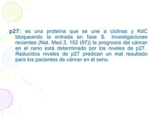 p27: es una proteína que se une a ciclinas y KdC
bloqueando la entrada en fase S.  Investigaciones
recientes (Nat. Med.3, 152 (97)) la prognosis del cáncer
en el ceno está determinado por los niveles de p27. 
Reducidos niveles de p27 predicen un mal resultado
para los pacientes de cáncer en el seno. 
 