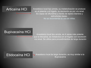 Articaína HCl Anestésico local tipo amida, su metabolización se produce
en el plasma y el hígado, su excreción es por vía renal.
Es capaz de difundirse a través de tejidos blandos y
estructuras óseas.
No se recomienda su uso en niños.
Bupivacaína HCl
Anestésico local tipo amida, es 4 veces más potente
que la lidocaína, se metaboliza en el hígado con excreción
vía renal. Se utiliza para procedimientos de larga duración
Etidocaína HCl Anestésico local de larga duración, es muy similar a la
Bupivacaína
 