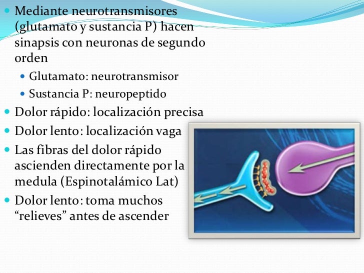 Control del dolor en el snc