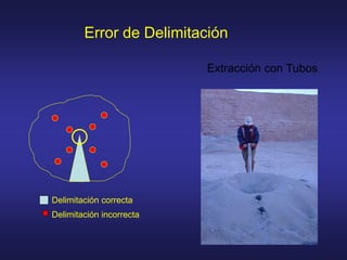 Error de Delimitación
Delimitación correcta
Delimitación incorrecta
Extracción con Tubos
 