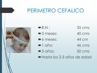 PERIMETRO CEFALICO
R.N : 35 cms
3 meses: 40 cms
6 meses: 44 cm
1 año: 46 cms
3 años: 50 cms
Hasta los 2-3 años de edad
 