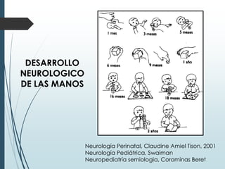 DESARROLLO
NEUROLOGICO
DE LAS MANOS
Neurología Perinatal, Claudine Amiel Tison, 2001
Neurología Pediátrica, Swaiman
Neuropediatría semiologia, Corominas Beret
 
