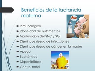 Beneficios de la lactancia
materna
 Inmunológico
 Idoneidad de nutrimentos
 Maduración del SNC y SGI
 Disminuye riesgo de infecciones
 Disminuye riesgo de cáncer en la madre
 Apego
 Económico
 Disponibilidad
 Control natal
 