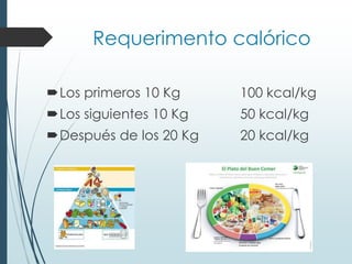 Requerimento calórico
Los primeros 10 Kg 100 kcal/kg
Los siguientes 10 Kg 50 kcal/kg
Después de los 20 Kg 20 kcal/kg
 