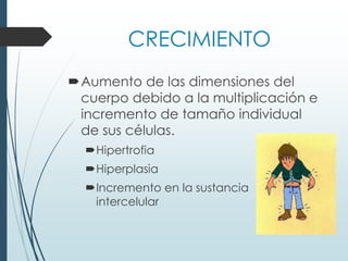 CRECIMIENTO
Aumento de las dimensiones del
cuerpo debido a la multiplicación e
incremento de tamaño individual
de sus células.
Hipertrofia
Hiperplasia
Incremento en la sustancia
intercelular
 